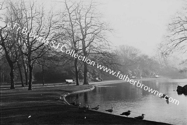 ST STEPHEN'S GREEN LAKE